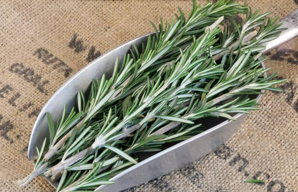 Fresh Rosemary In A Ceramic Bowl Wallpaper