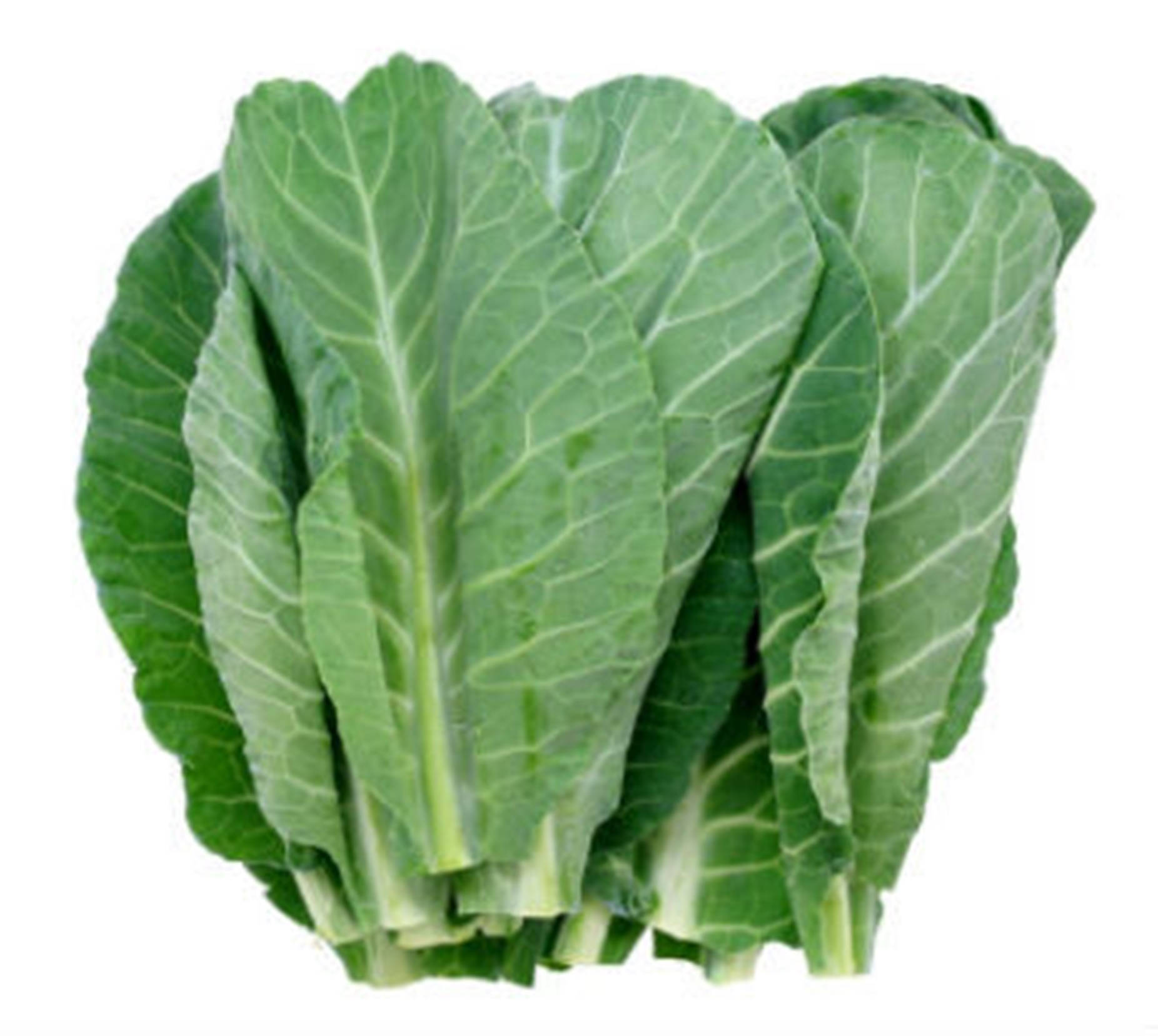 Fresh Stemless Collard Greens Wallpaper