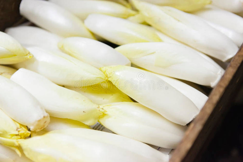 Freshly Picked Endives In Rustic Wooden Container Wallpaper