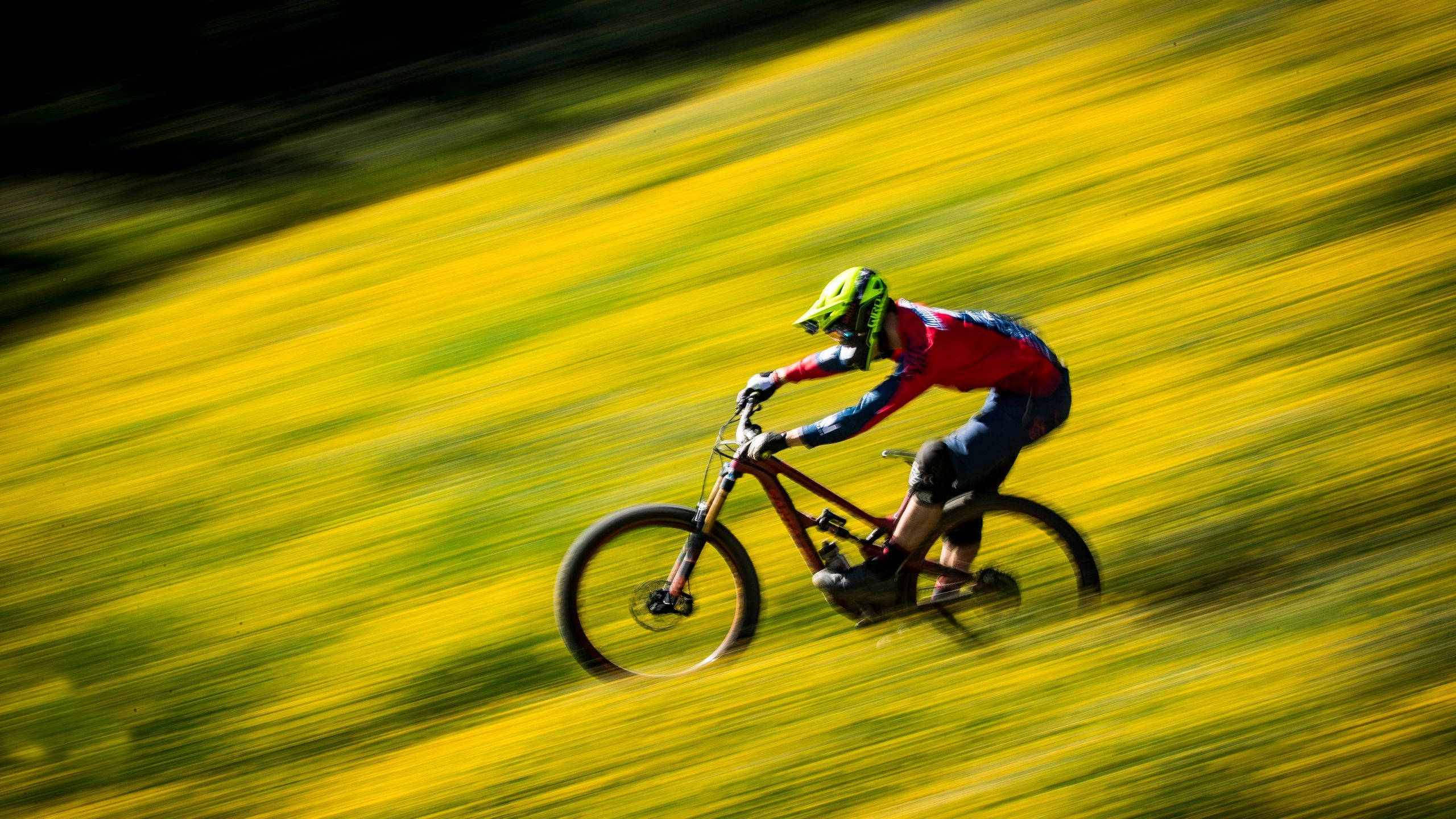 Full Speed Mtb Flower Farm Ride Wallpaper