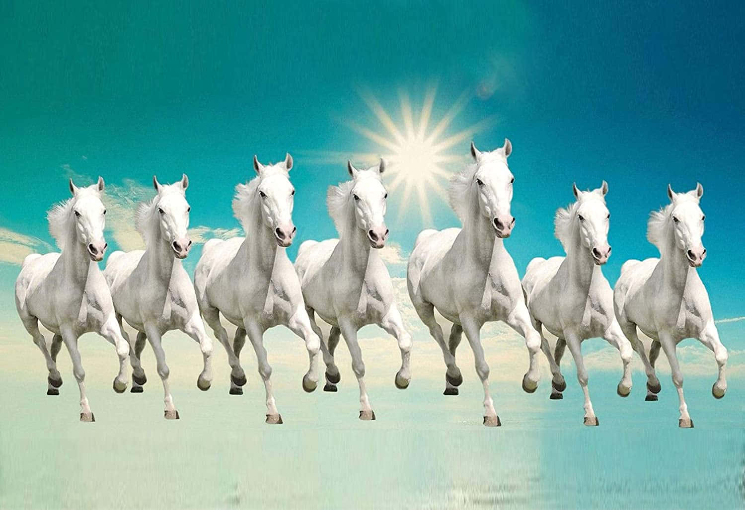 Galloping_ White_ Horses_ Sunburst Wallpaper