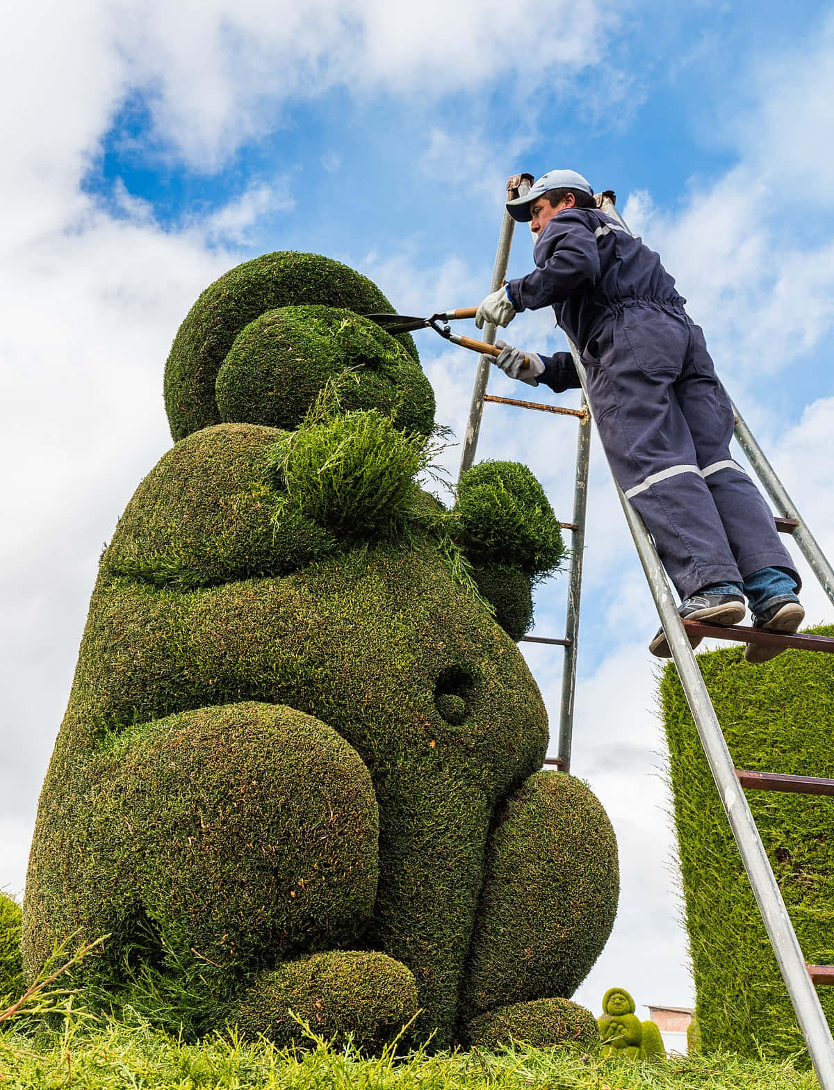 Gardener Skillfully Maintaining A Manicured Topiary Bush Wallpaper