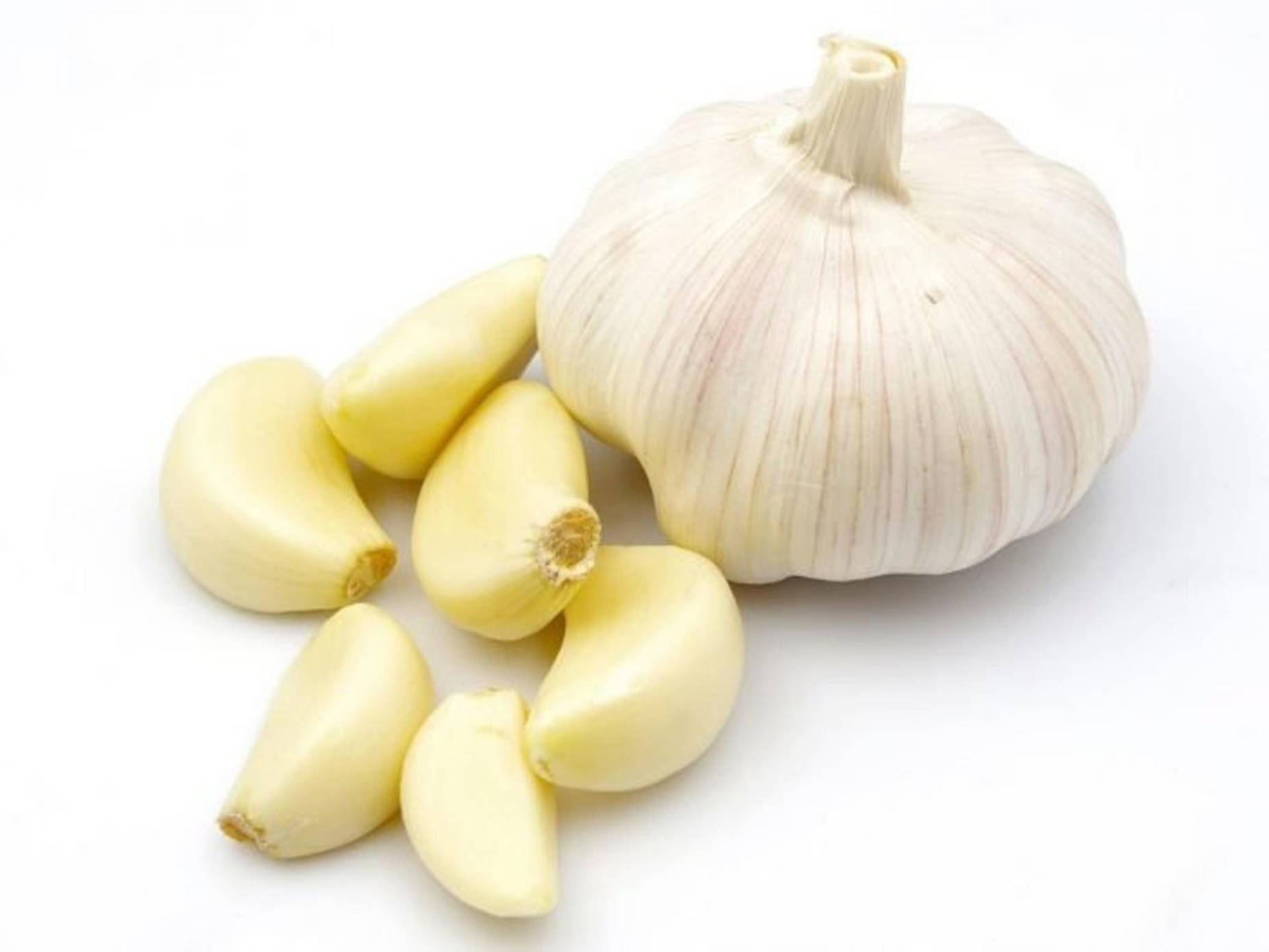 Garlic Vegetable Herb And Cloves Wallpaper