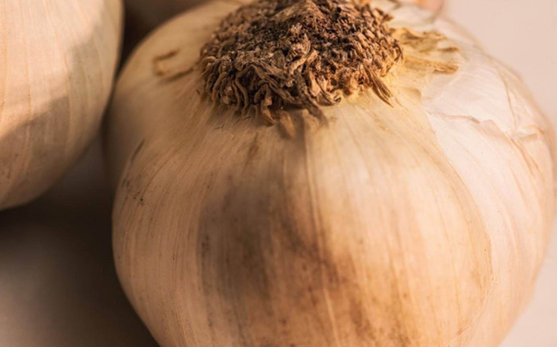 Garlic Vegetable Herb Close Up Wallpaper