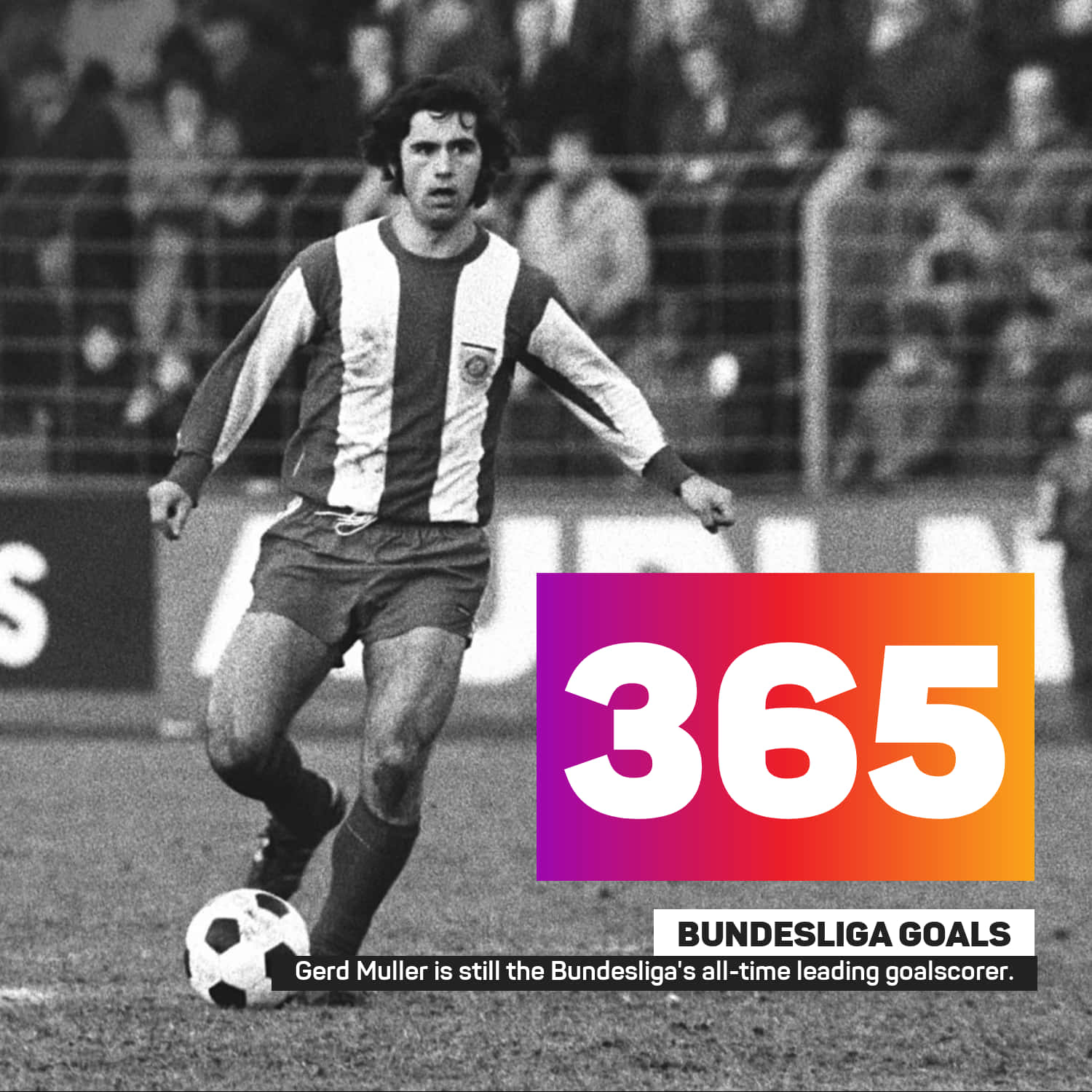Gerd Muller Total Goal In Bundesliga Wallpaper