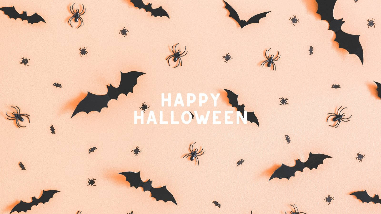 Get Into The Spooky Spirit This Season! Wallpaper