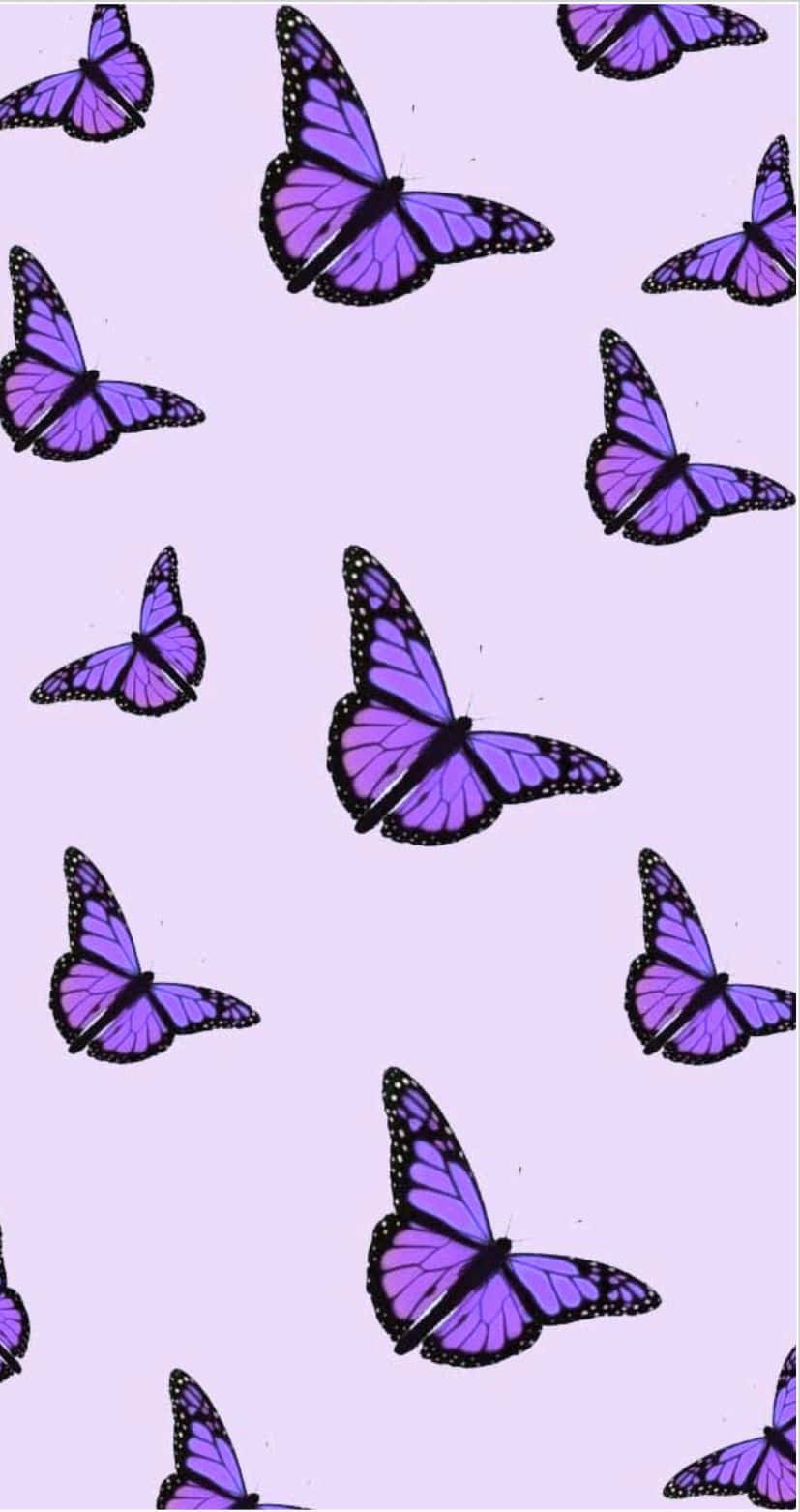 Get Lost In Nature With Purple Butterfly Iphone Wallpaper Wallpaper