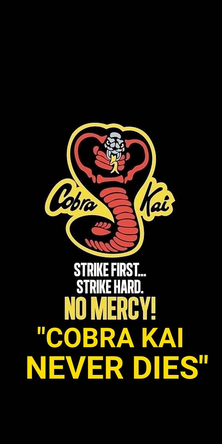 Get Ready For The Dojo Life With The Cobra Kai Phone Wallpaper