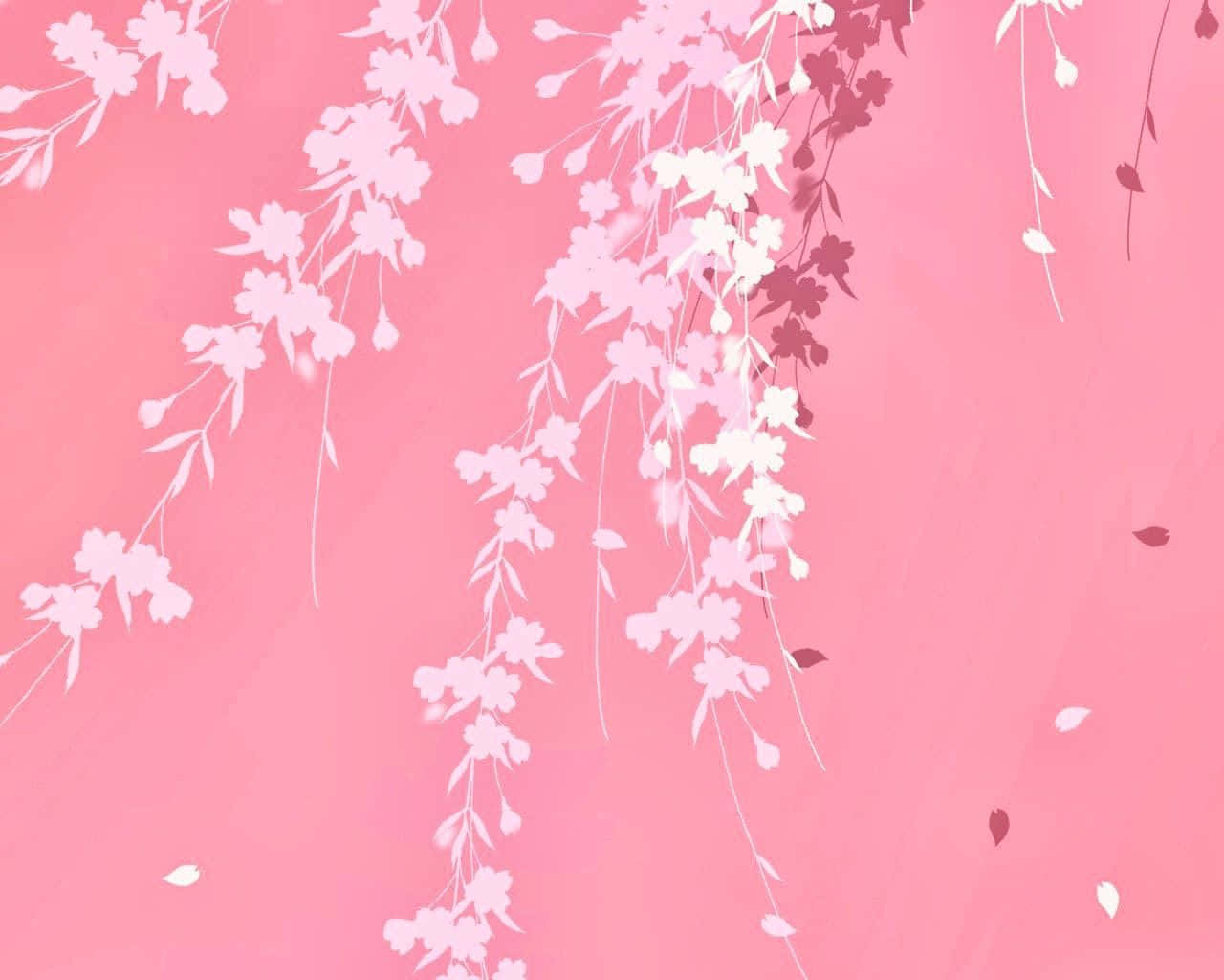 Get Ready For The Next Pink Nation Event With Amazing Deals! Wallpaper