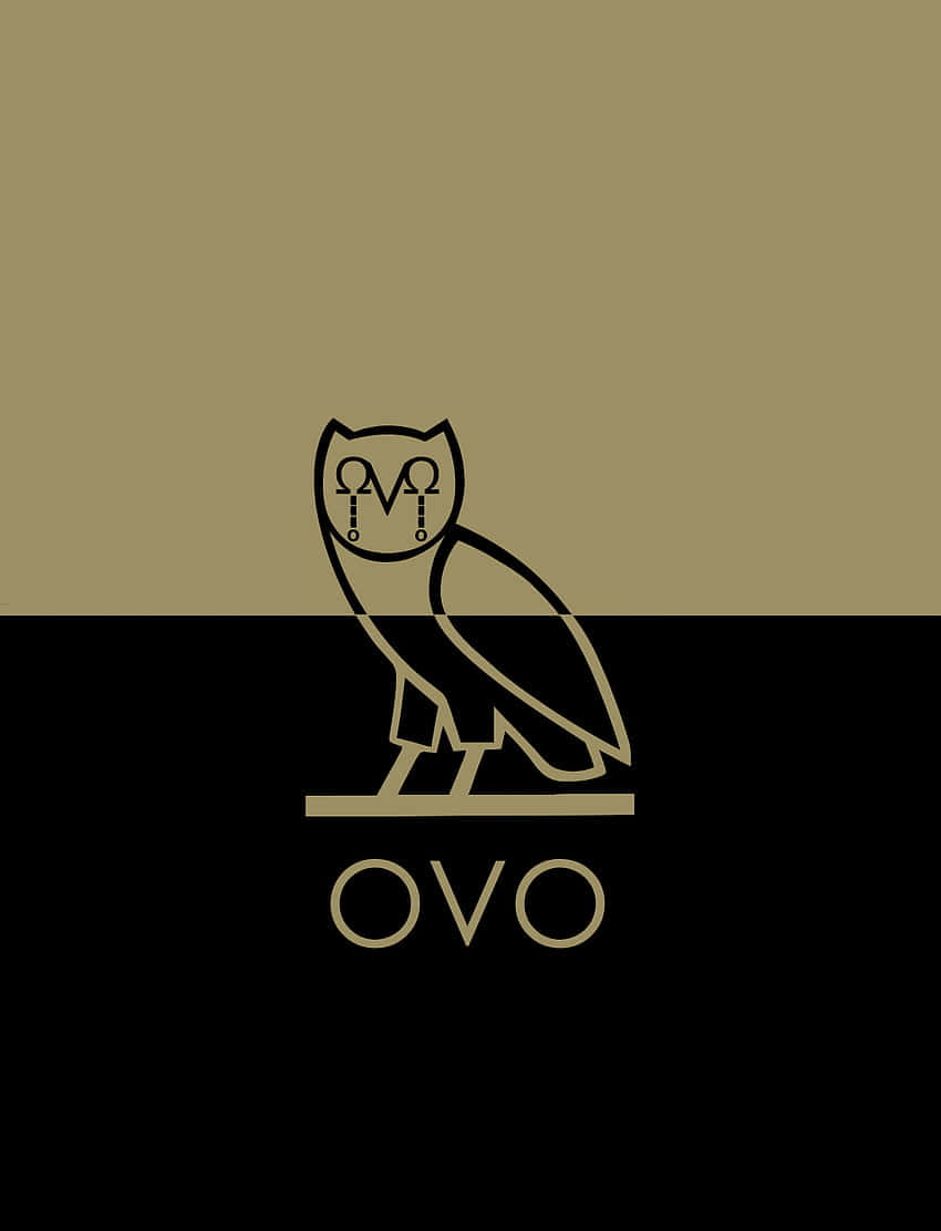 Get The Ovo Owl Drake Iphone Wallpaper Wallpaper