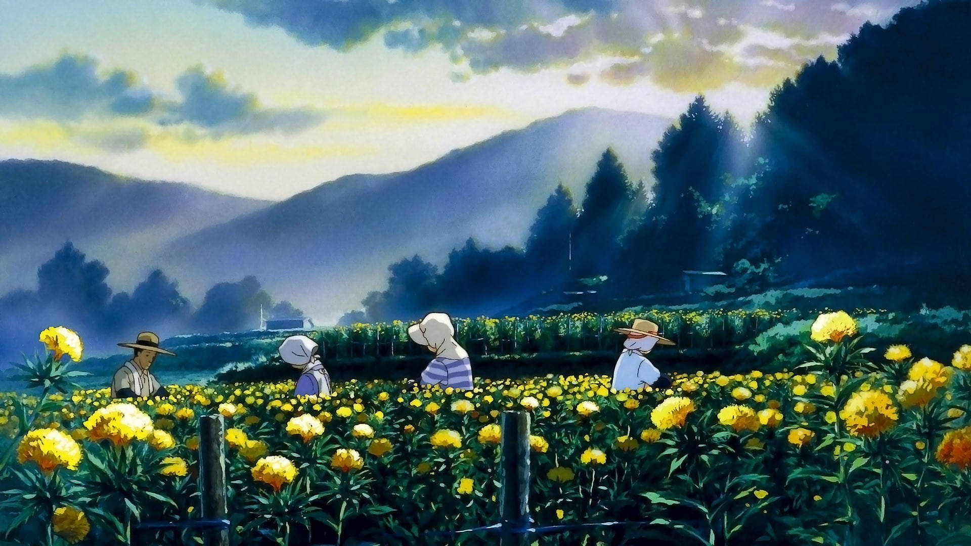 Ghibli Sunflower Laptop Wallpaper