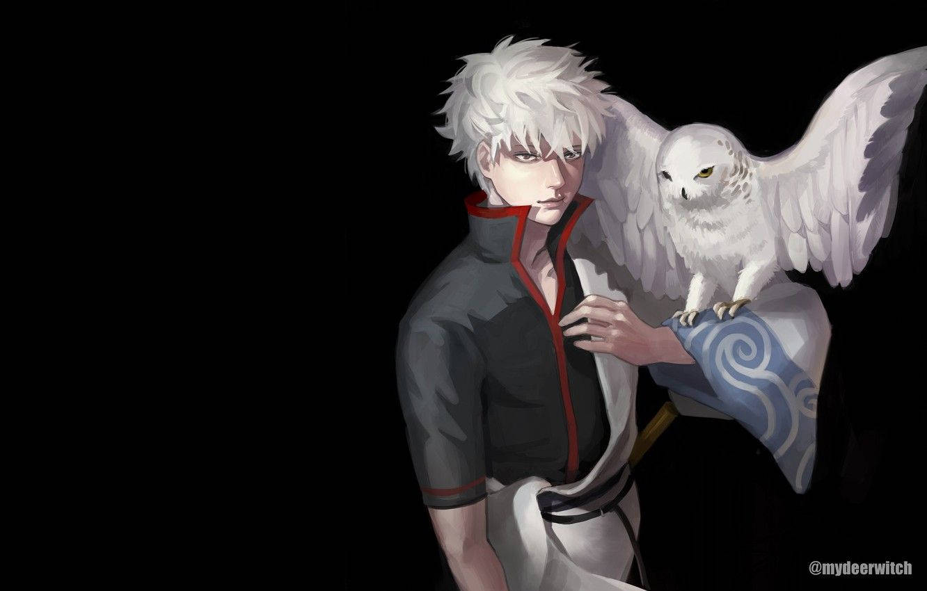 Gintama Gintoki With An Owl Wallpaper