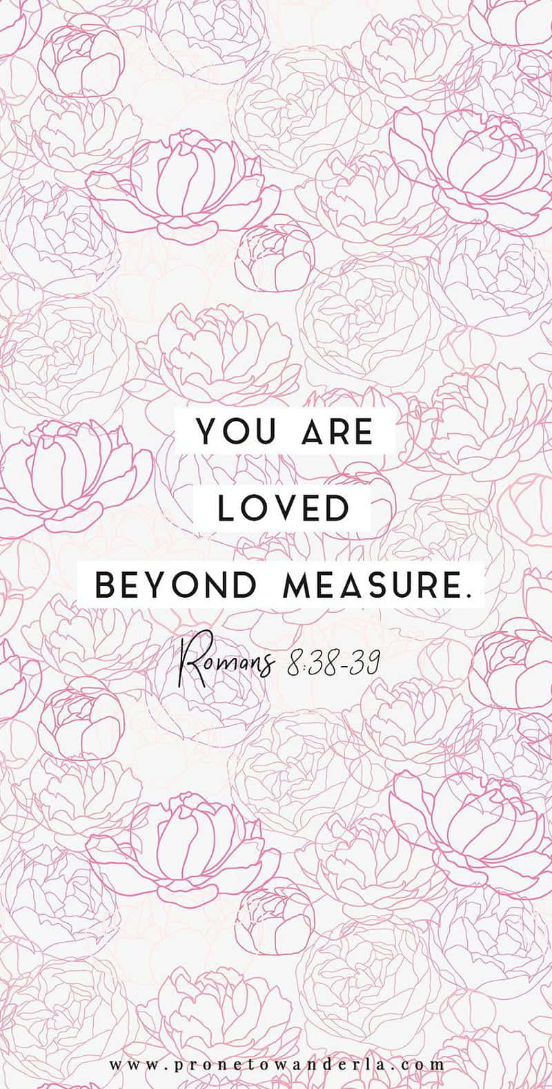 Girly Bible Verse Beloved Wallpaper