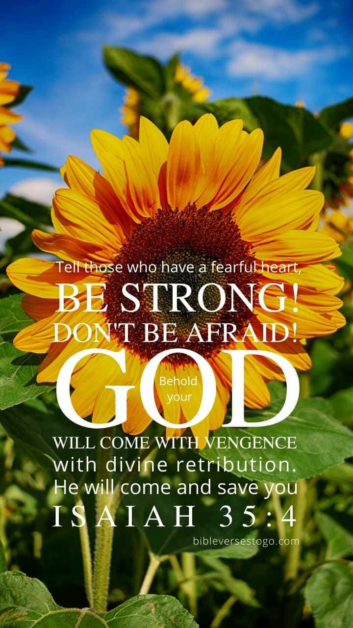 Girly Bible Verse In Fresh Sunflower Wallpaper