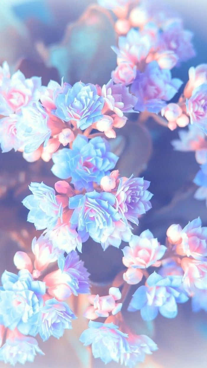 Give Your Phone A Stylish Look With Pretty Cute Phone! Wallpaper