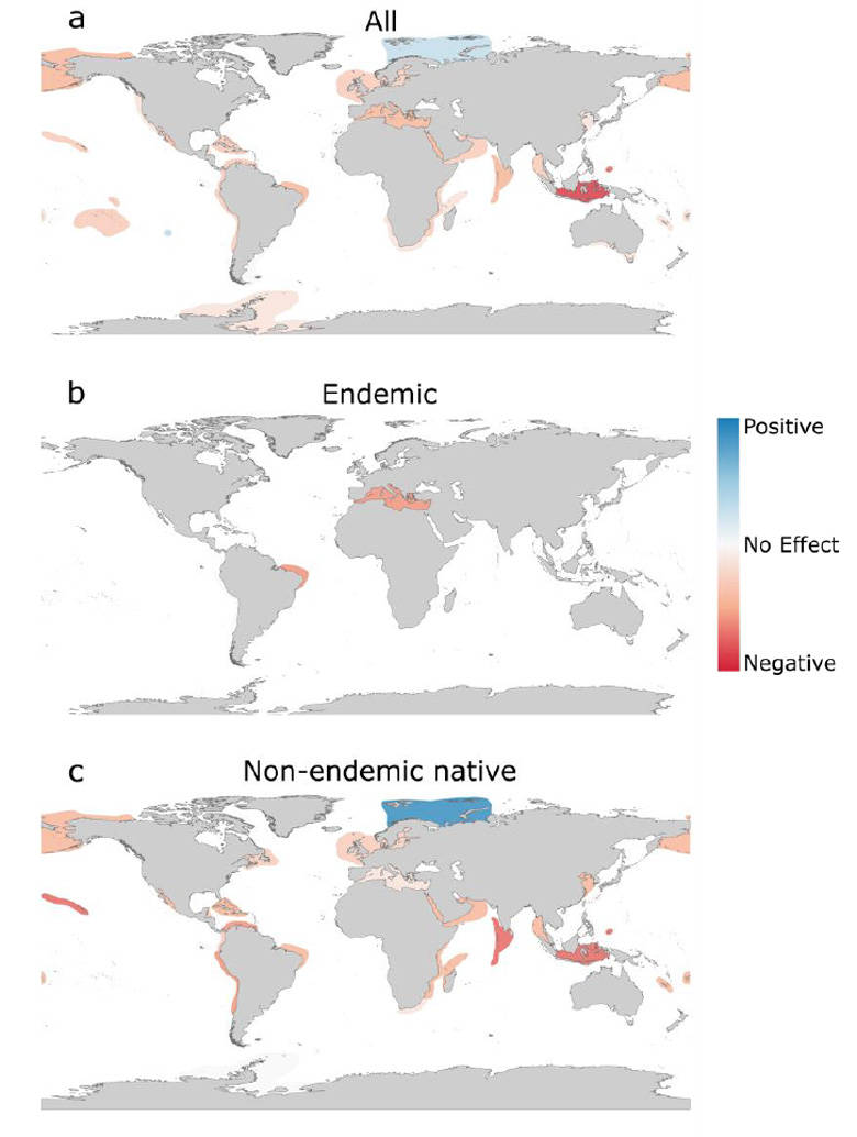 Global Endemic Infographic Wallpaper