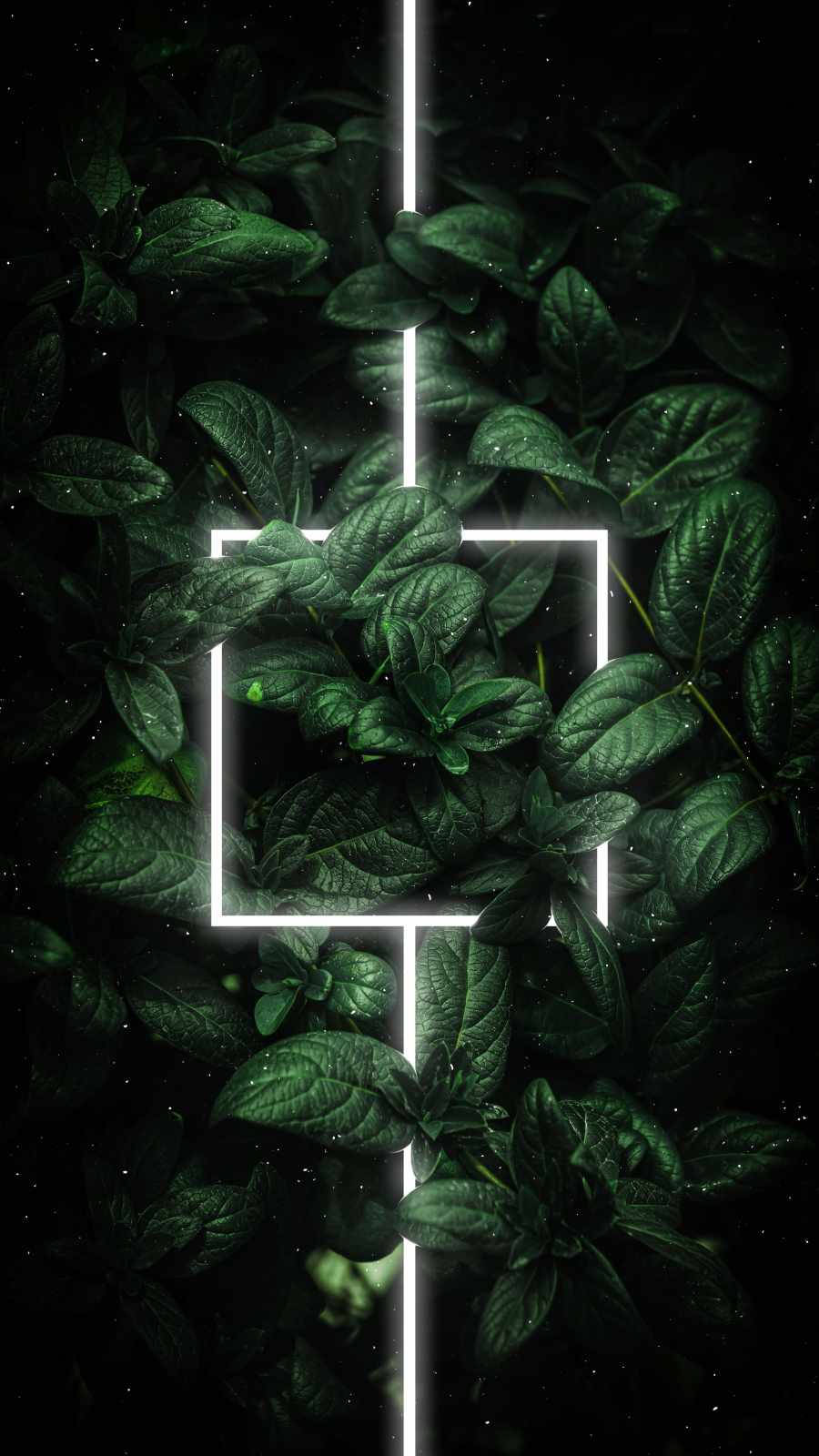 Glowing White Line On Leaves Green Iphone Wallpaper