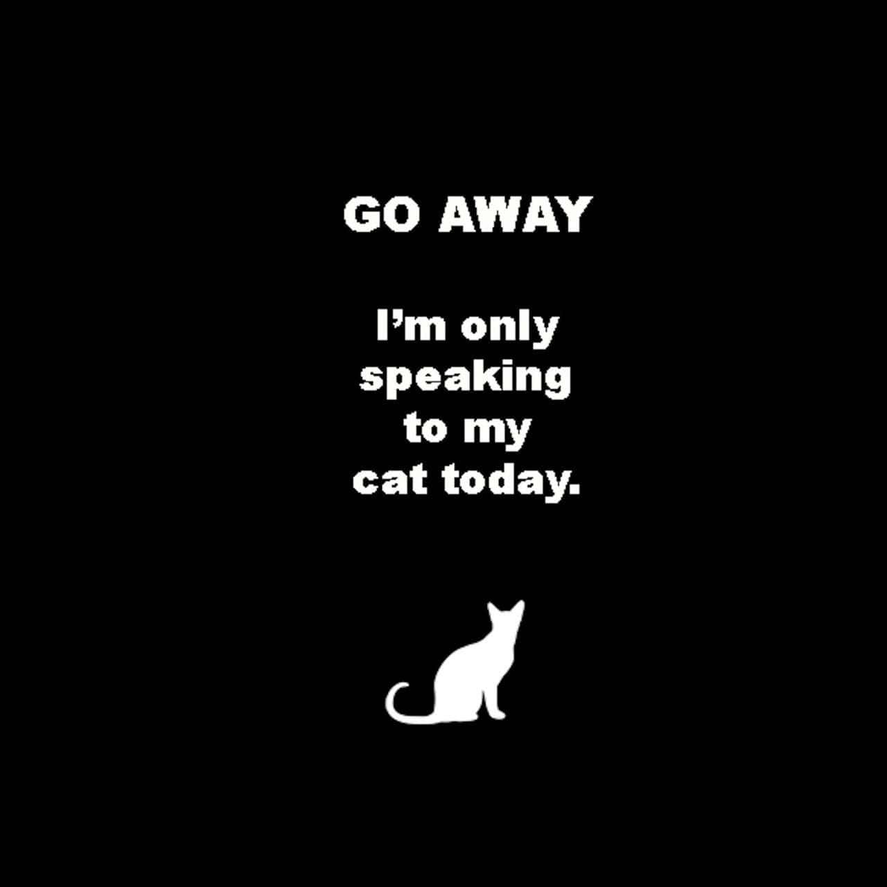 Go Away 1280 X 1280 Wallpaper