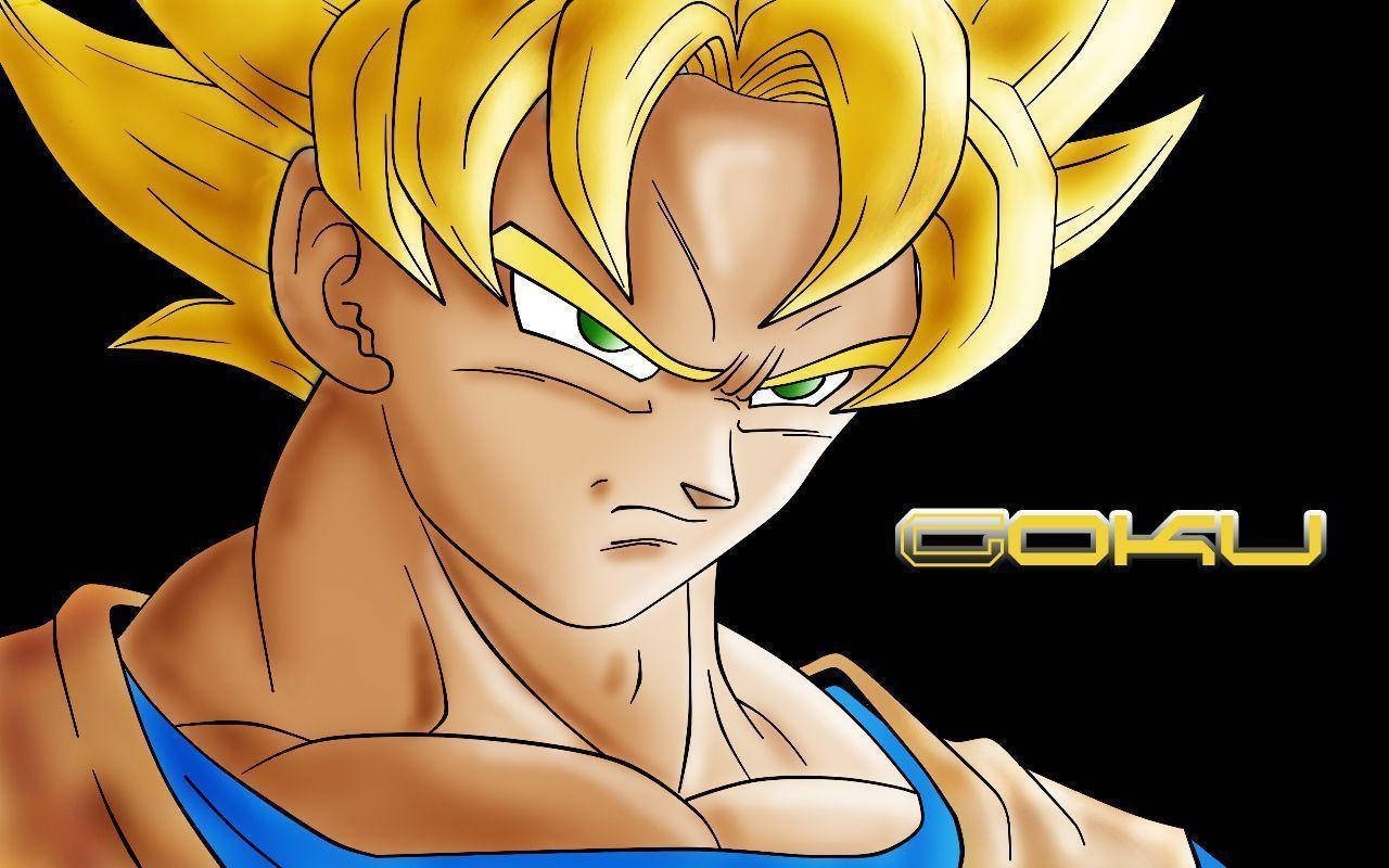 Goku 1280 X 800 Wallpaper