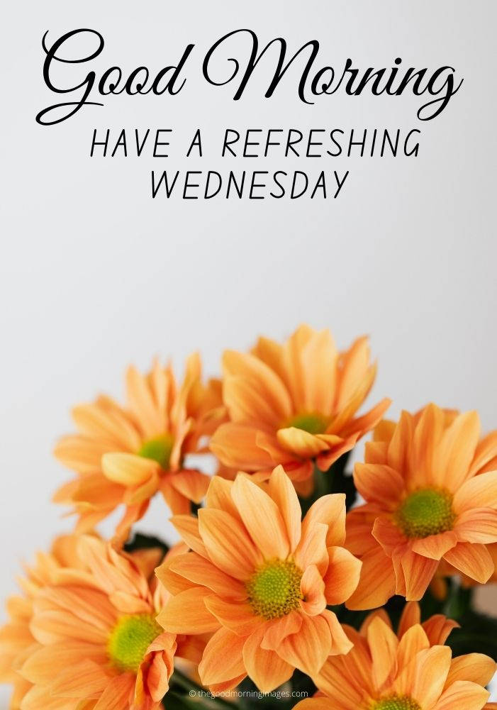 Good Morning Wednesday Lovely Greeting Wallpaper