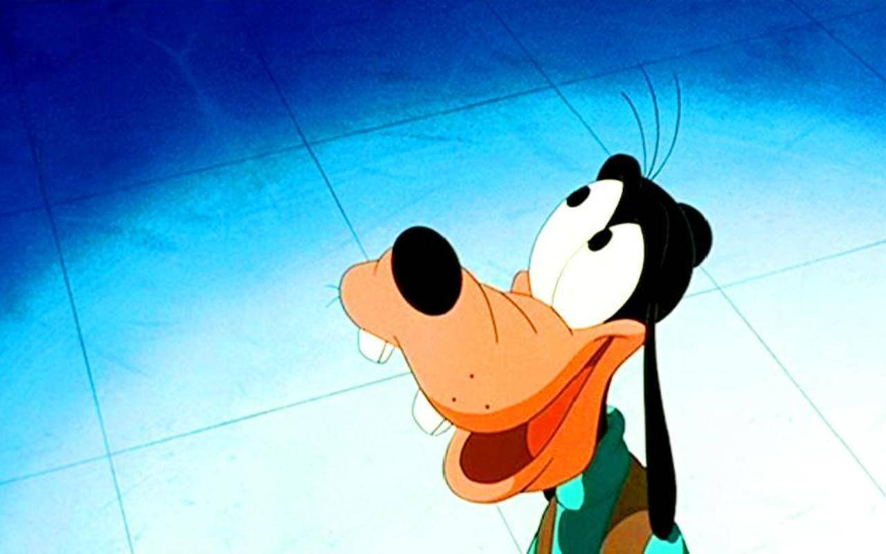 Goofy Gazing Mysteriously Wallpaper