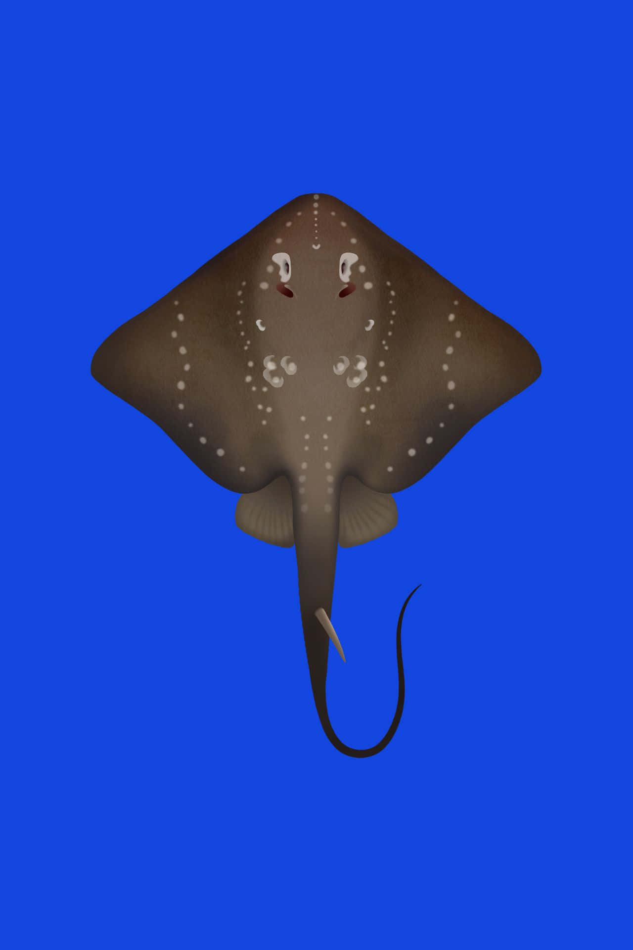 Graceful Stingray In The Ocean Depths Wallpaper