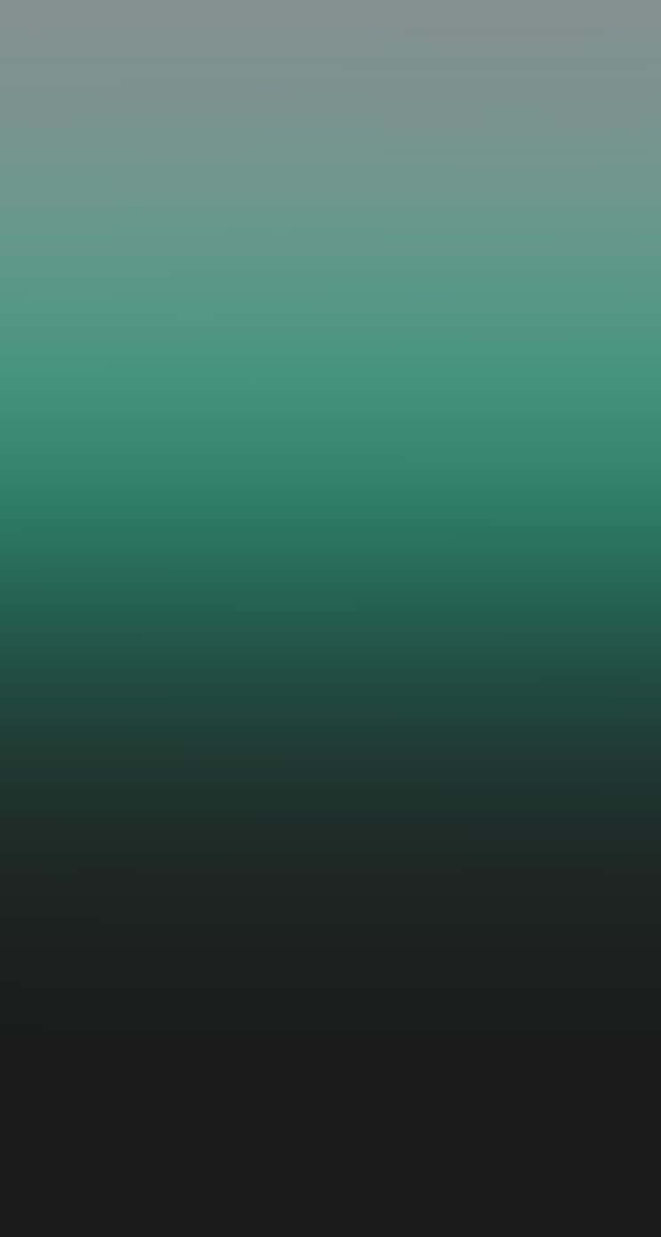 Gradient Black And Dark Green Iphone Wallpaper
