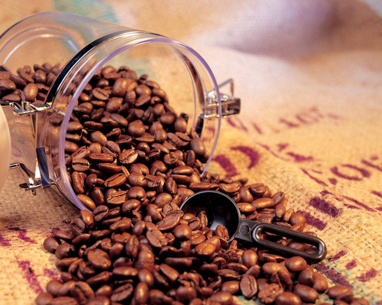 Grains Of Freshly Roasted Coffee Wallpaper