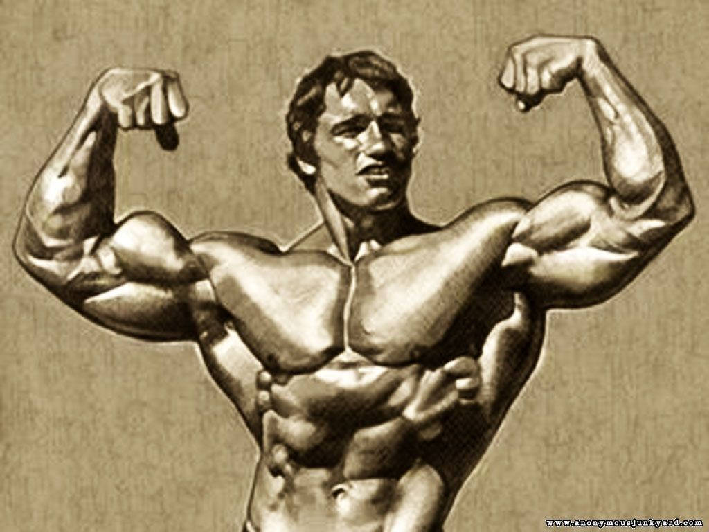 Graphic Art Of Arnold Schwarzenegger Wallpaper