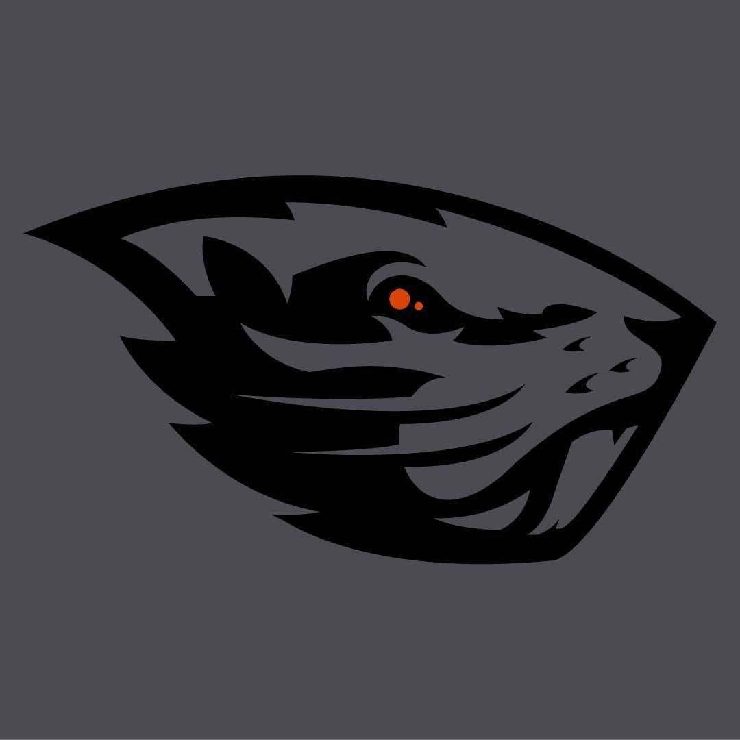 Gray Beaver Oregon State University Wallpaper