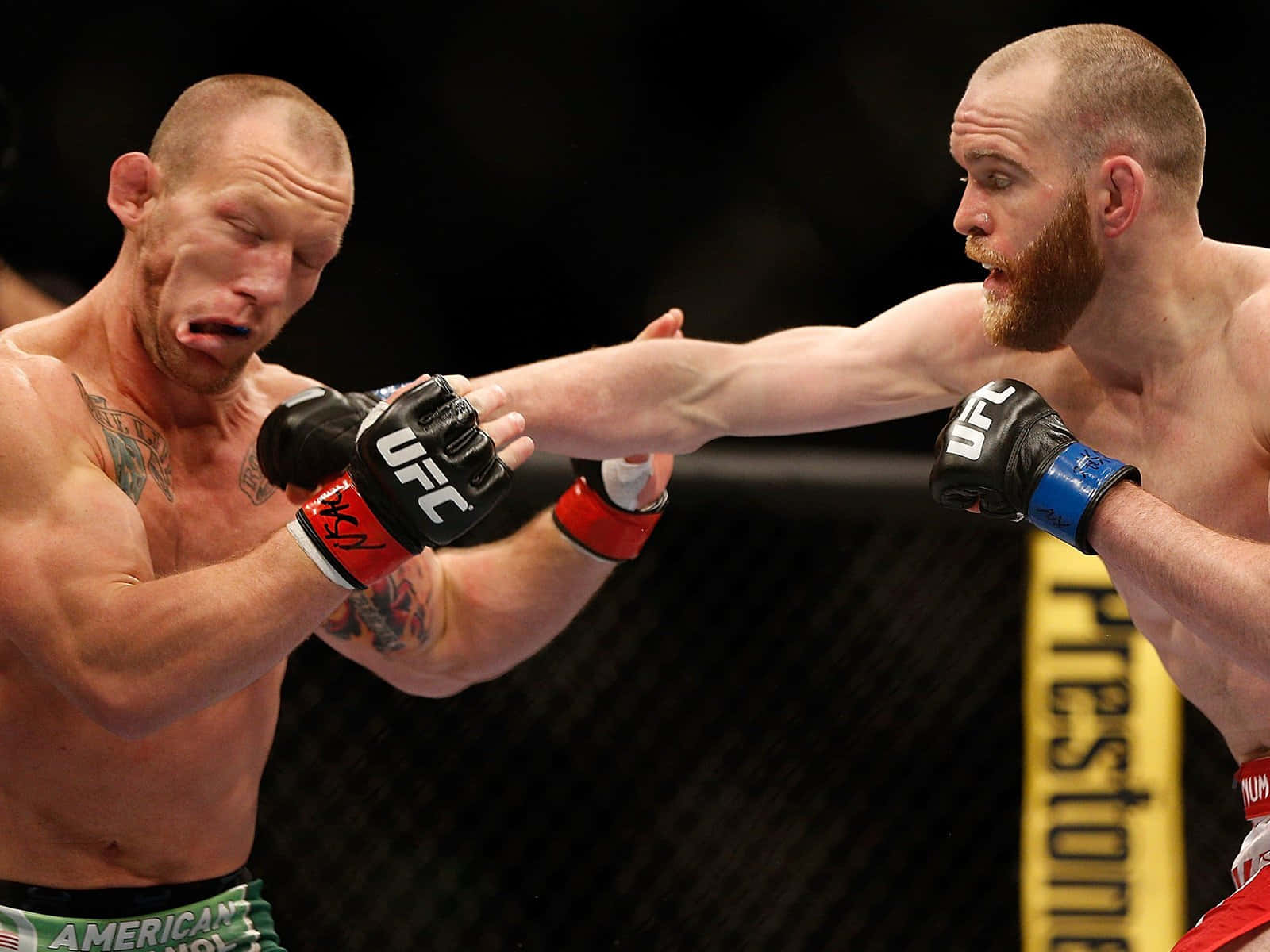 Gray Maynard Punched On The Face Wallpaper