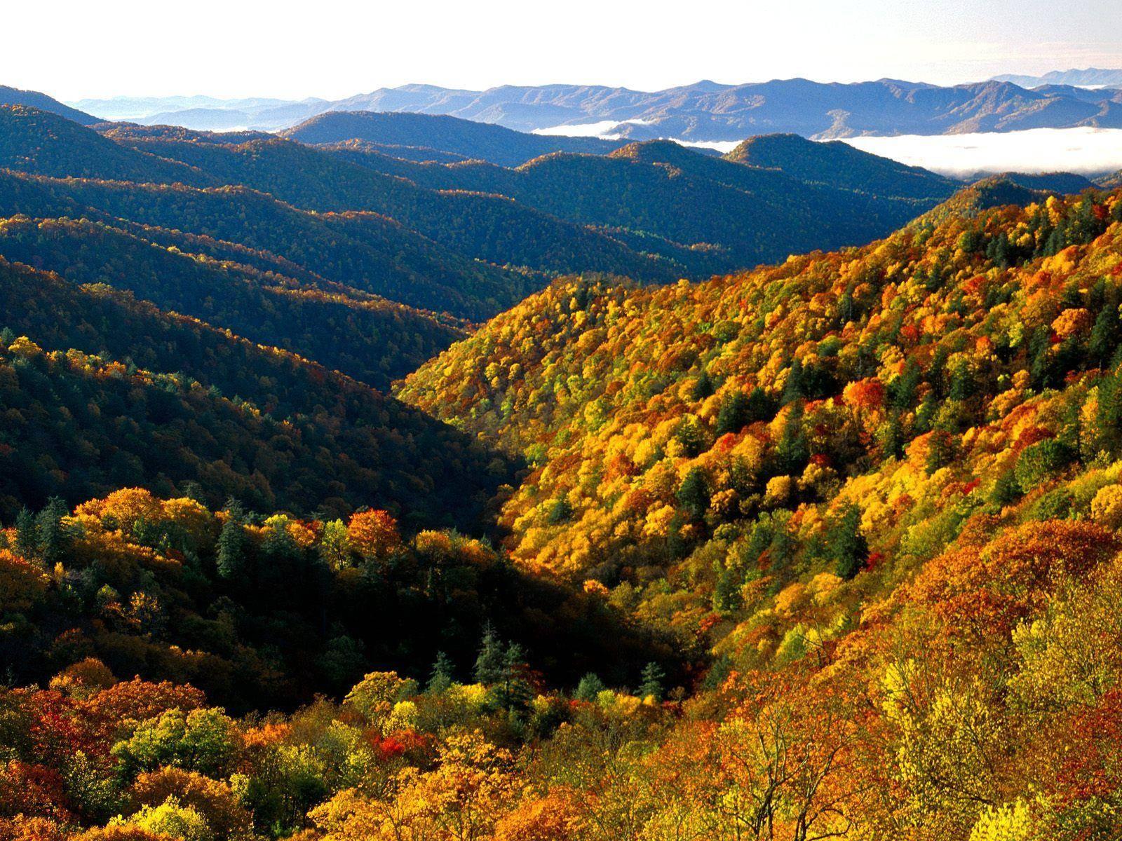 Great Smoky Mountains Standing Proud Wallpaper