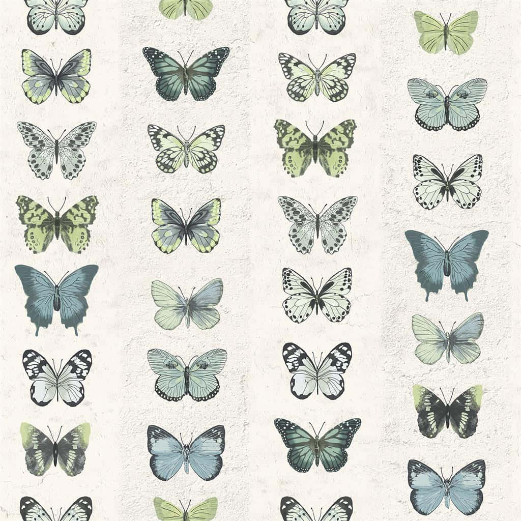 Green Butterfly Collection Wallpaper