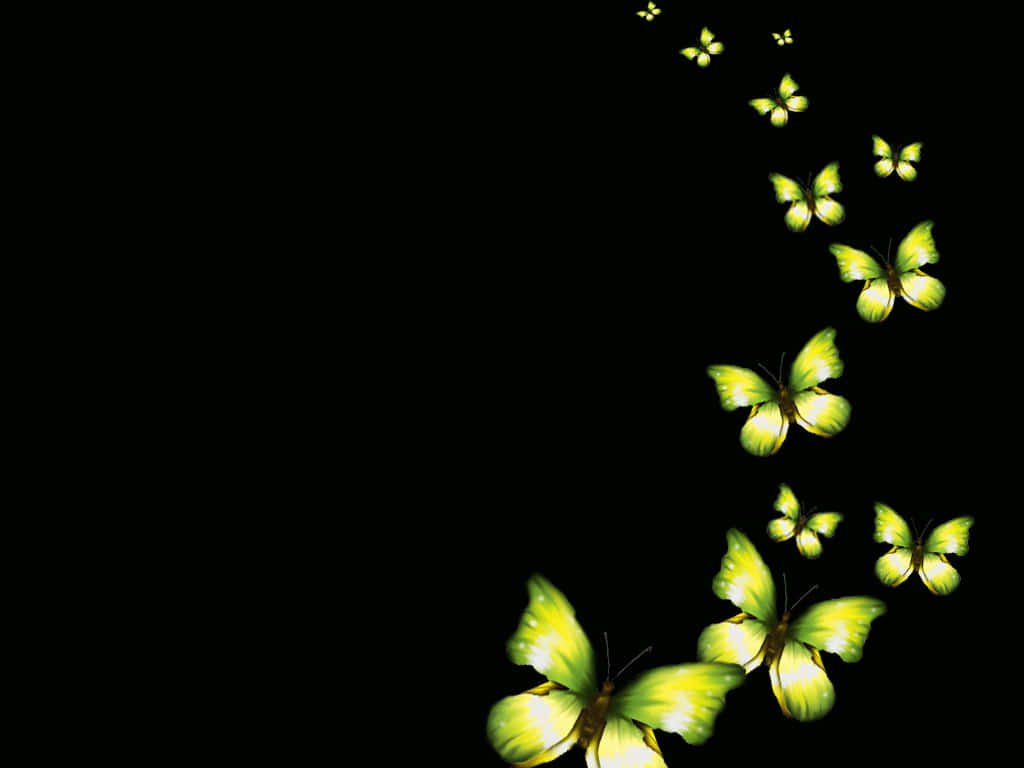 Green Butterfly Flying Up Wallpaper