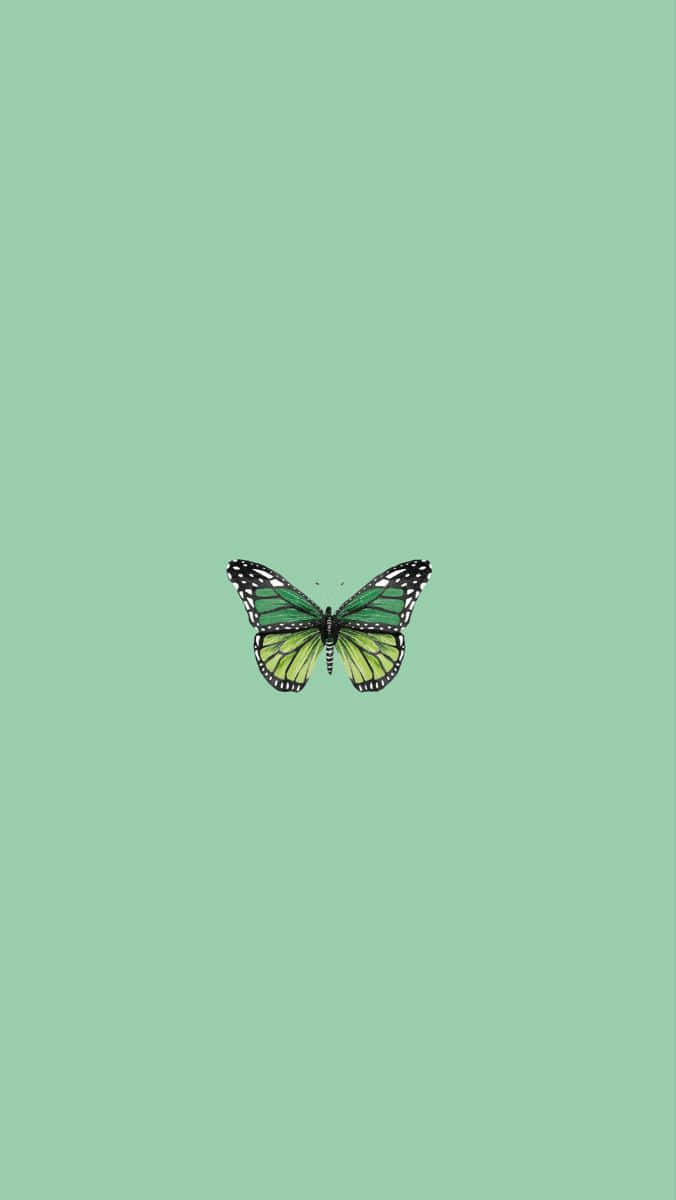 Green Butterfly Green Background Vertical Wallpaper