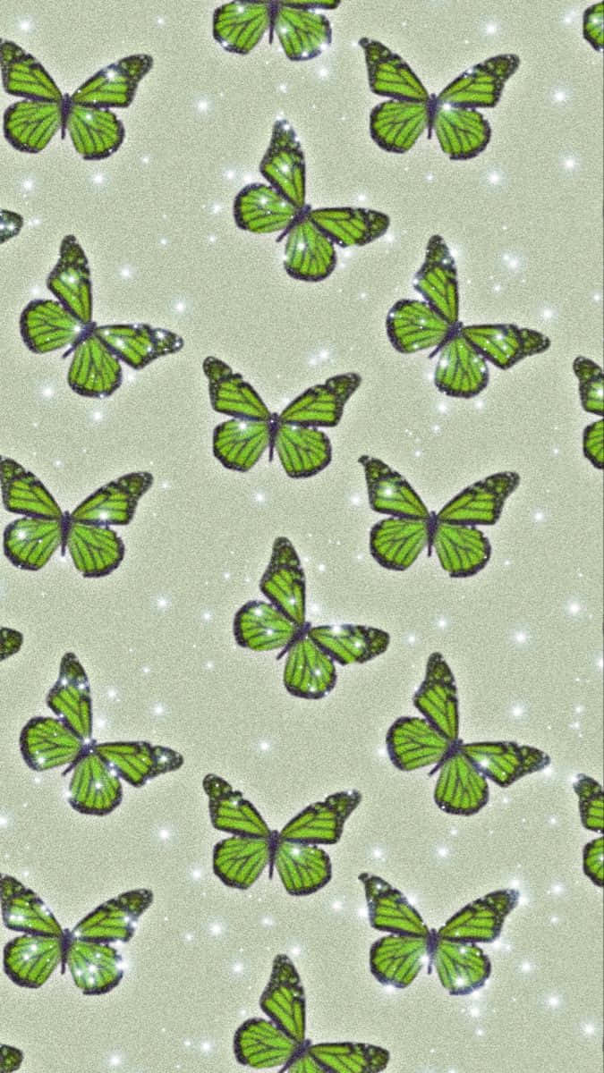 Green Butterfly Monarchs Wallpaper