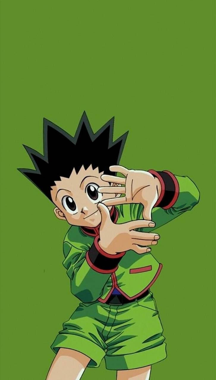 Green Hunter X Hunter Iphone Wallpaper