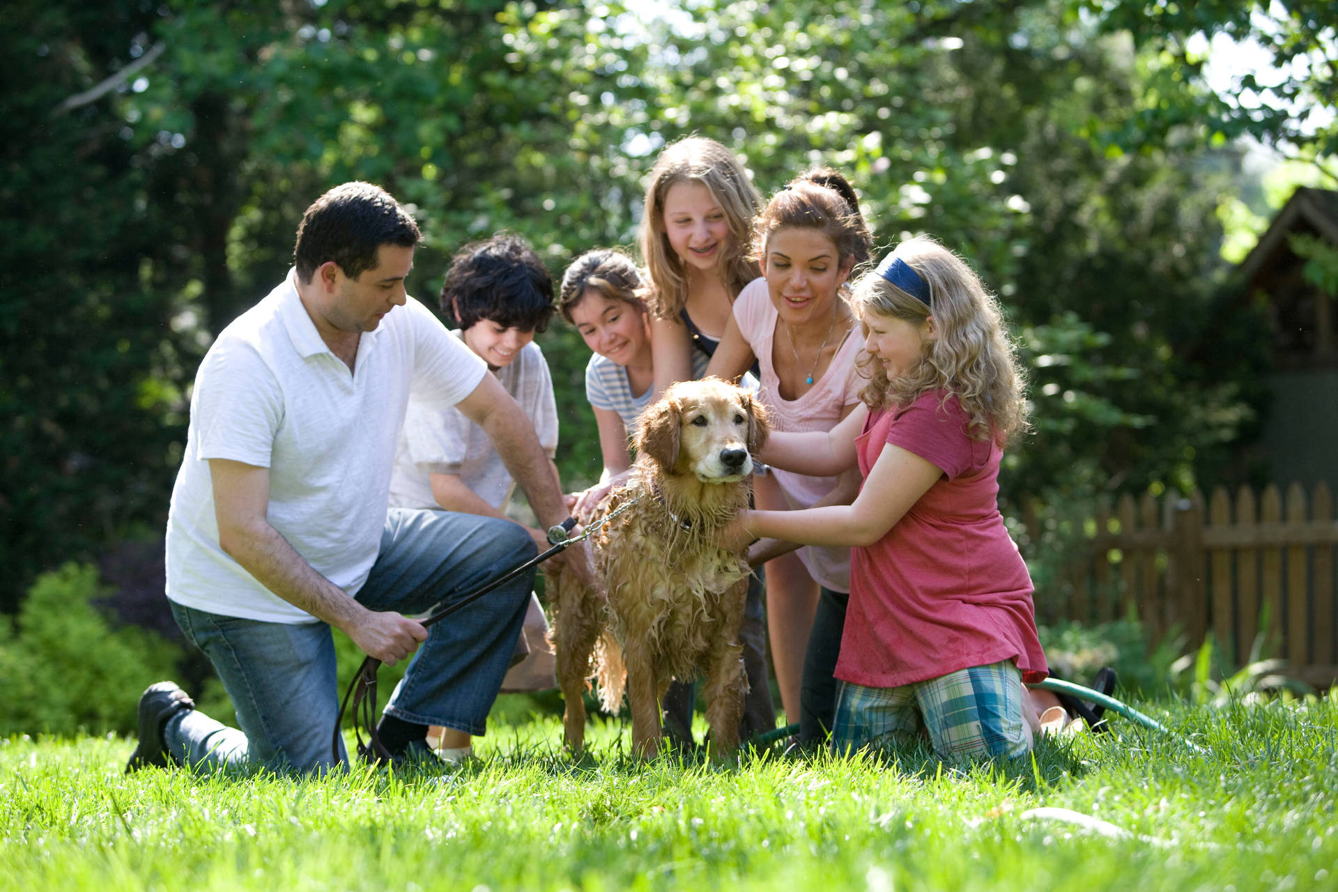 Group Of People Bathing A Dog Wallpaper