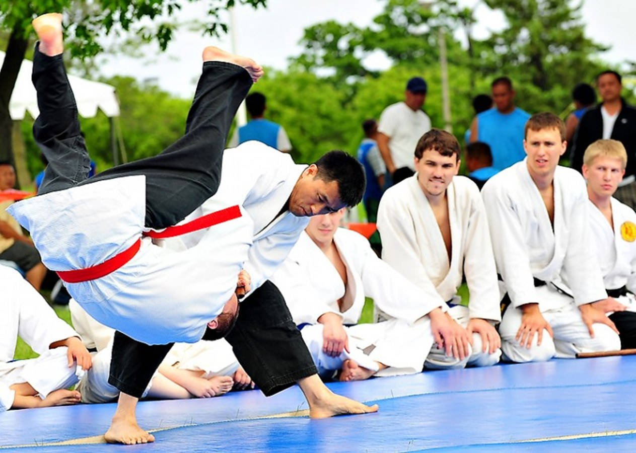 Hapkido Outdoor Class Demonstration Wallpaper