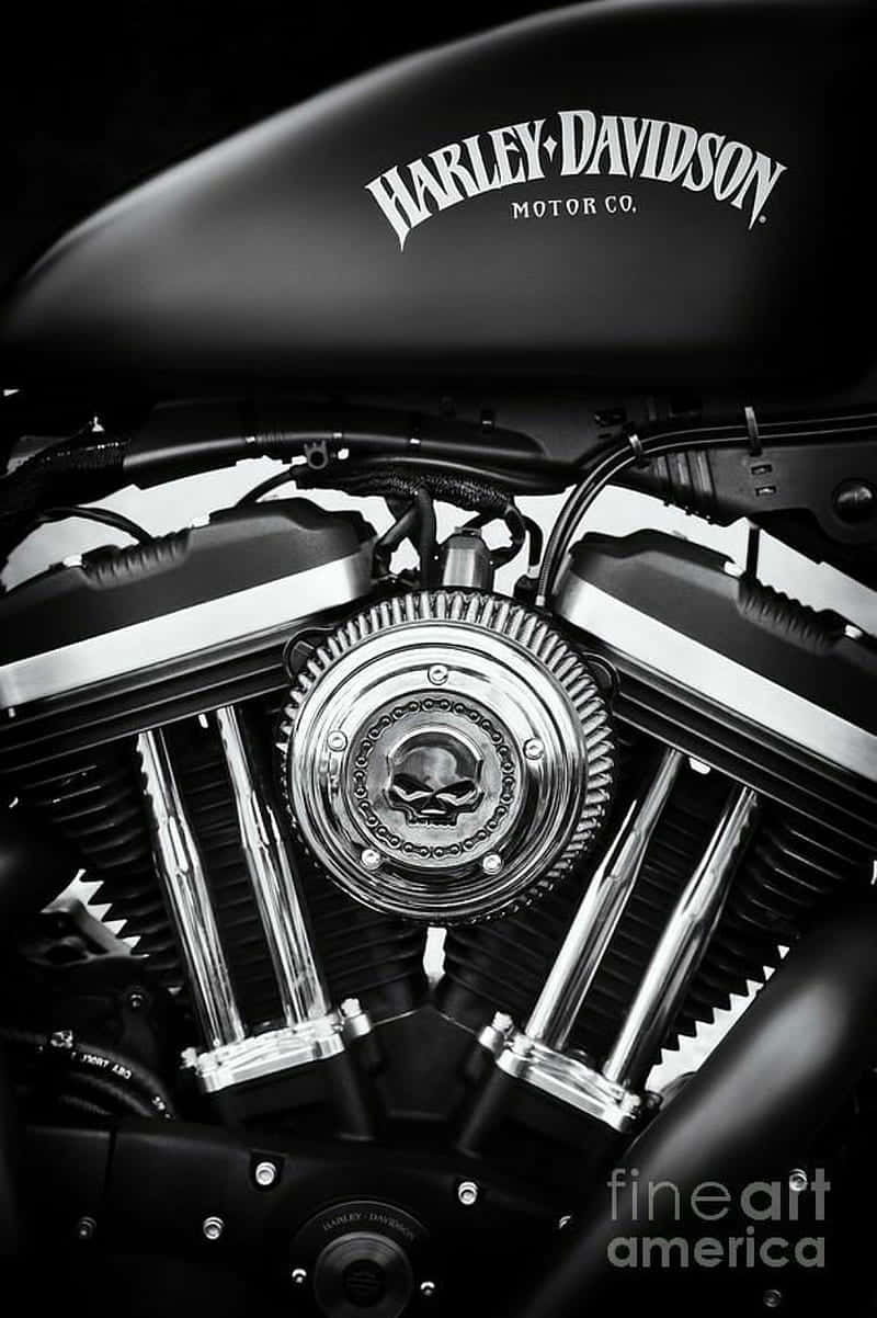 Harley Davidson Hd - Experience True Freedom Wallpaper