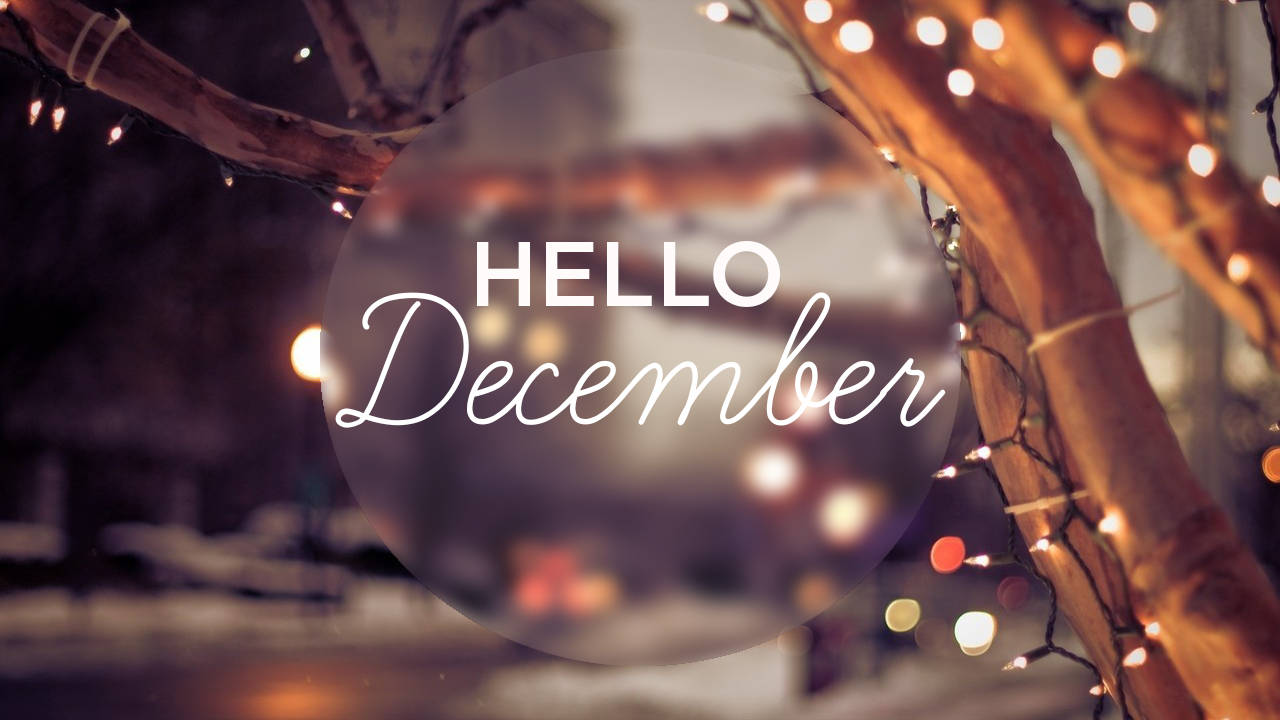 Hello December Christmas Lights On Trees Wallpaper