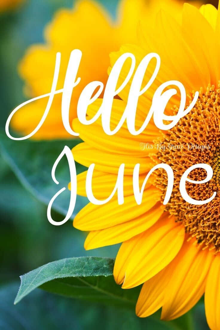 Hello June! New Month, New Beginnings. Of Beautiful Summer Sunshine And Warm Blue Skies. Wallpaper