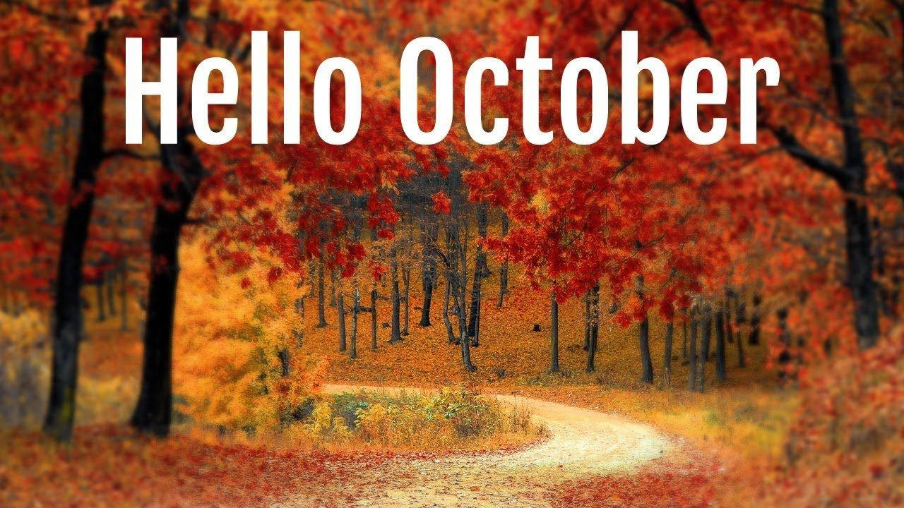 Hello October Orange Trees Dirt Pathway Wallpaper