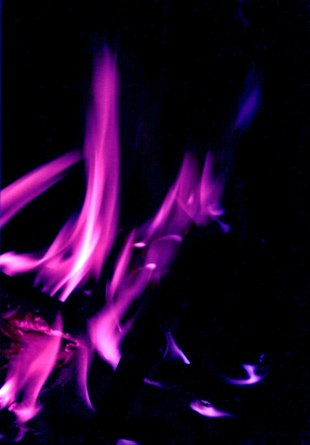 Hot & Vibrant Pink Flames Wallpaper