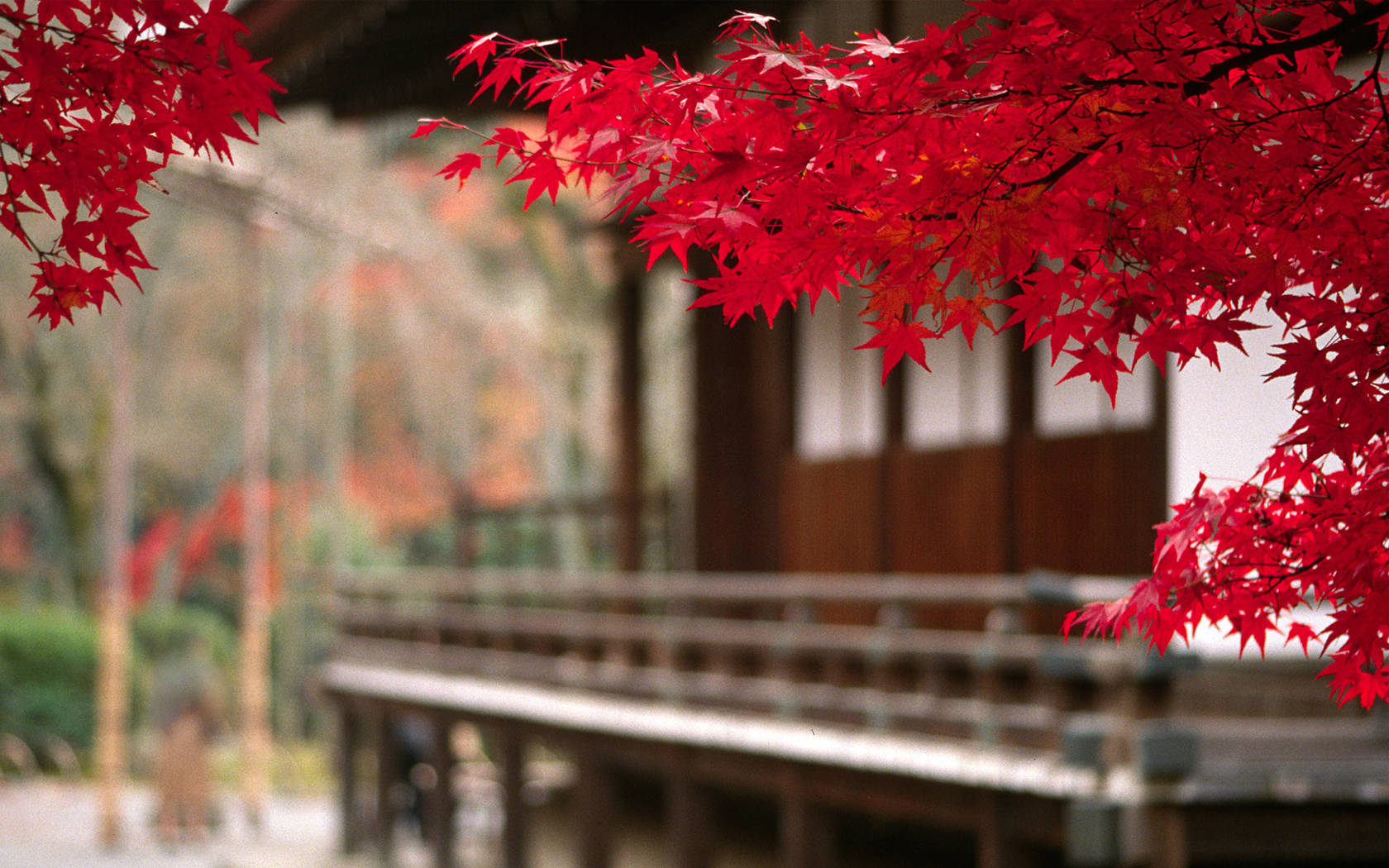 House With Red Flowers Japanese Nature Wallpaper