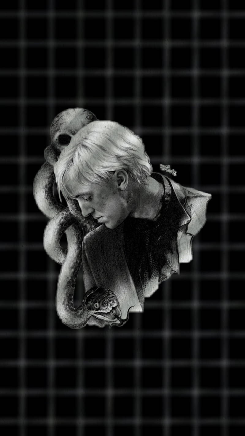 Hp's Draco Malfoy Slytherin Aesthetic Wallpaper