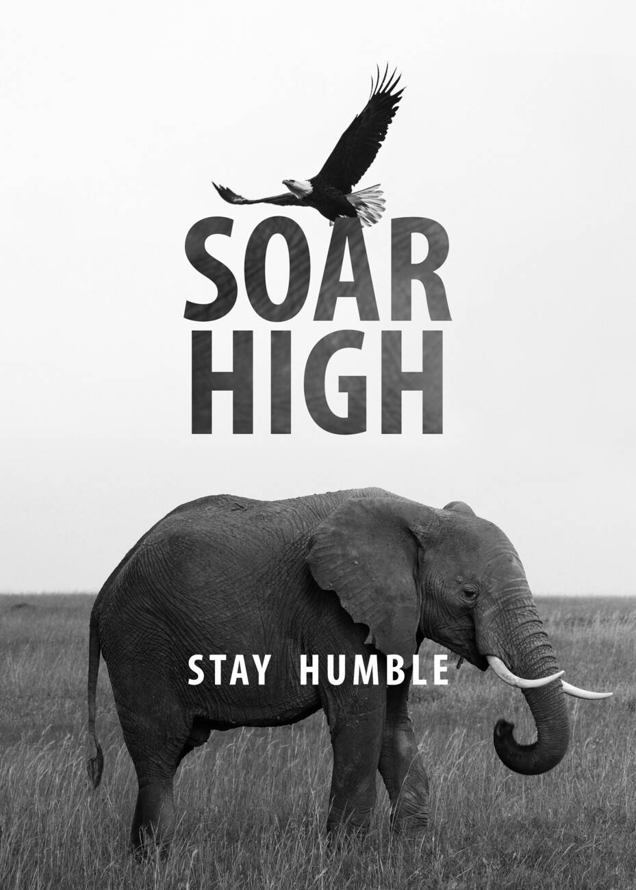 Humble Animal Phone Wallpaper