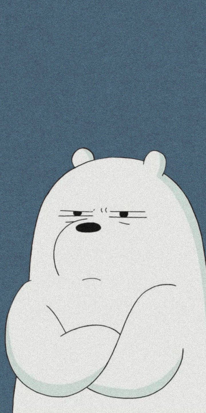 Ice Bear Cartoon Grumpy Wallpaper