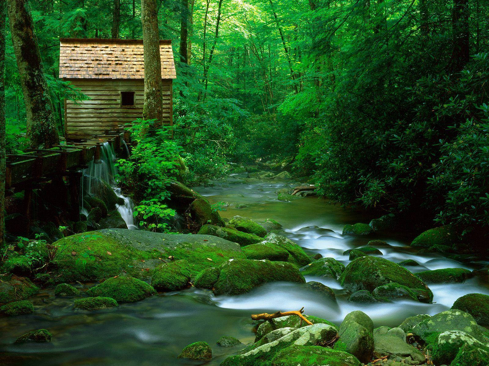 Image Magnificent View Of The Great Smoky Mountains Wallpaper