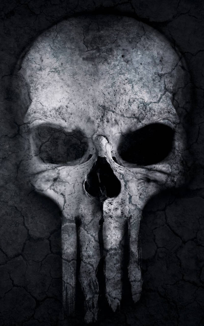 Image Punisher Skull Wallpaper